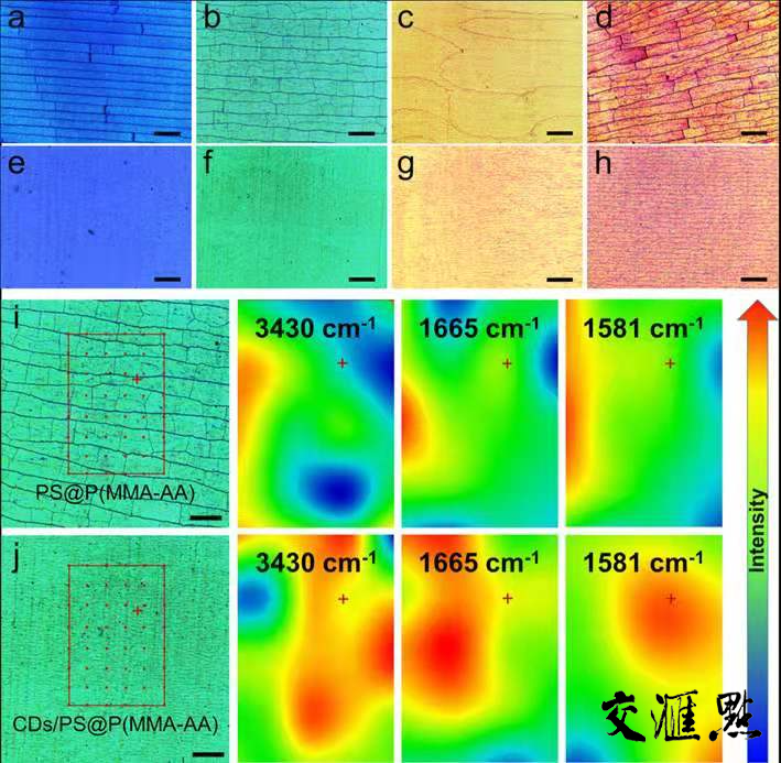 CDs/PS@P(MMA-AA)不開裂光子晶體膜 CDs/PS@P(MMA-AA)不開裂光子晶體膜